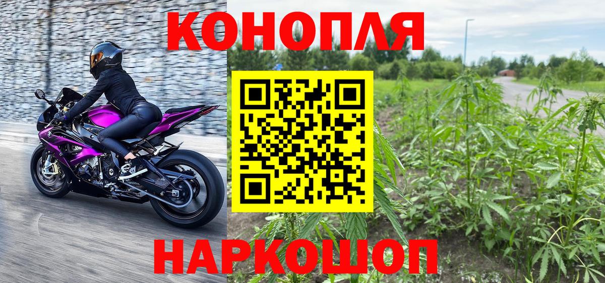 Канабис OG Kush Лангепас